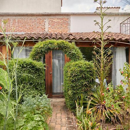 Sereno Hotel San Cristobal de las Casas Ngoại thất bức ảnh